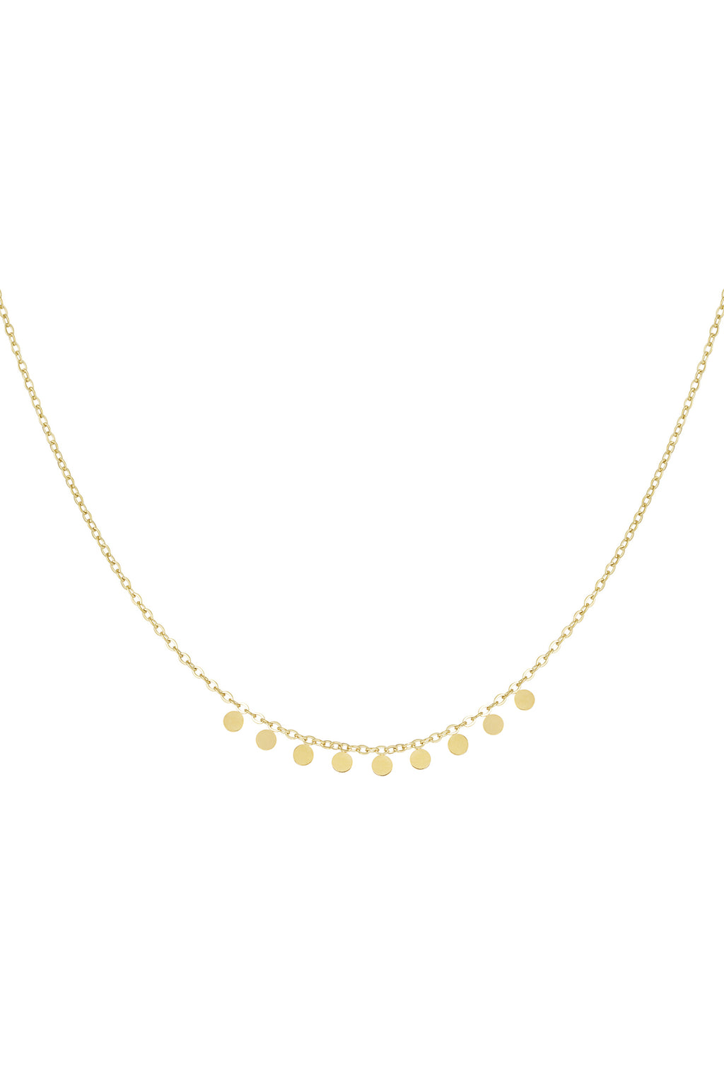 Minimalistische ketting met fijne muntjes