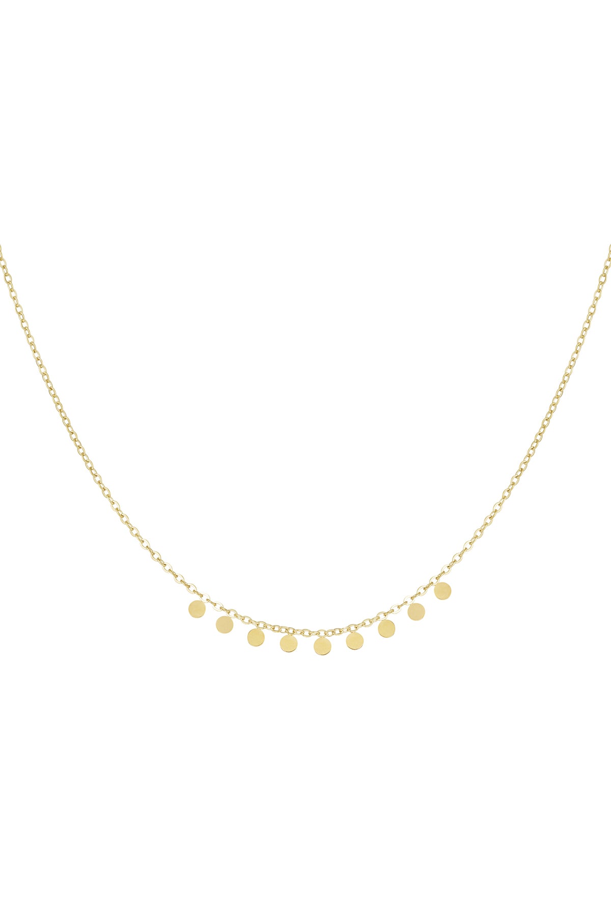 Minimalistische ketting met fijne muntjes